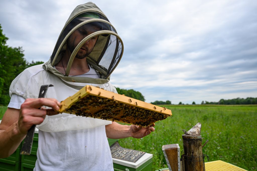Portrait Imker mit Bienen